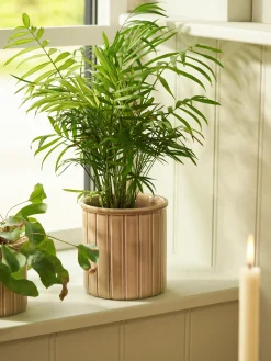 Blomsterpotte Vaser Og Potter