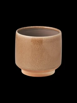 Blomsterpotte Vaser Og Potter