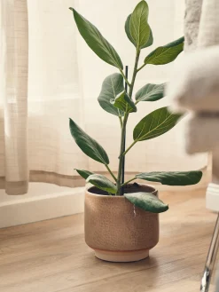 Blomsterpotte Vaser Og Potter