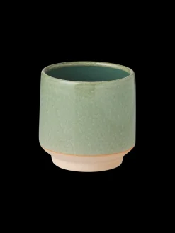 Blomsterpotte Vaser Og Potter