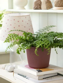 Sale Blomsterpotte Milly Ø16,9 Cm Vaser Og Potter