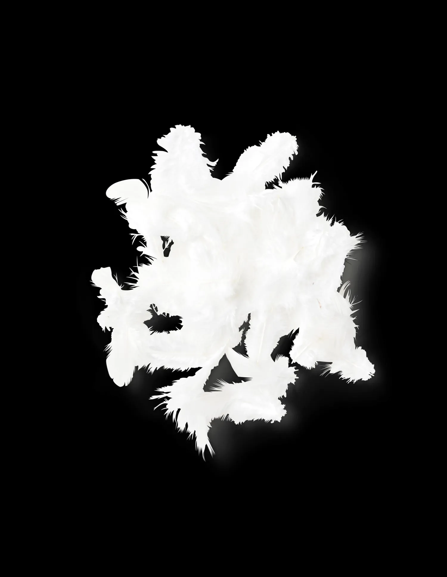 Clearance Fjær Dekorasjon