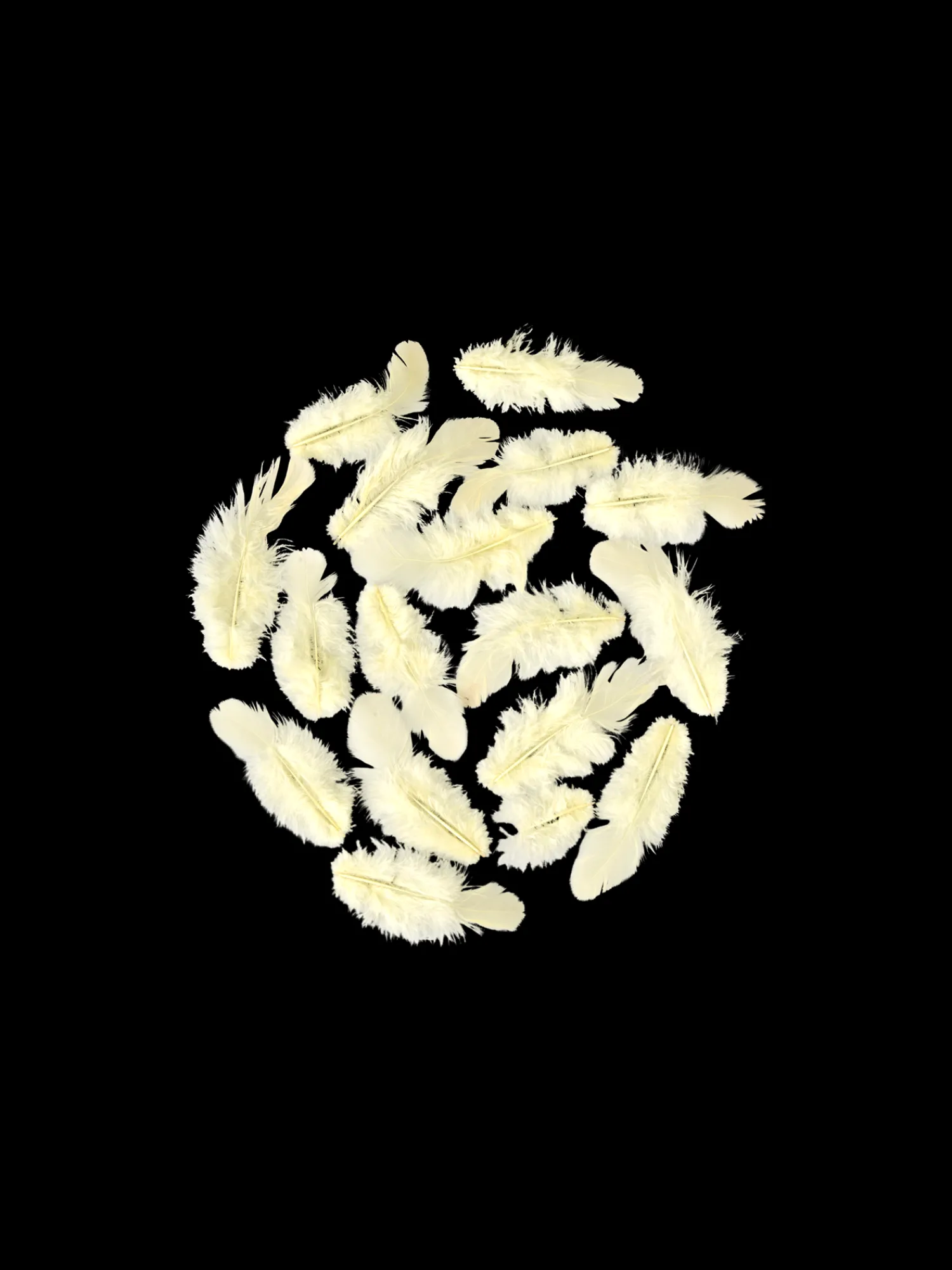 Clearance Fjær Dekorasjon