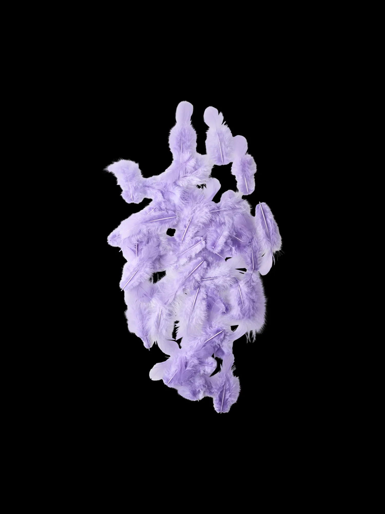 Clearance Fjær Dekorasjon