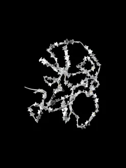 Sale LED-lysslynge Med Stjerner Julepynt|Lamper