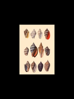 Outlet Plakat 15 X 21 Cm Rammer Og Plakater