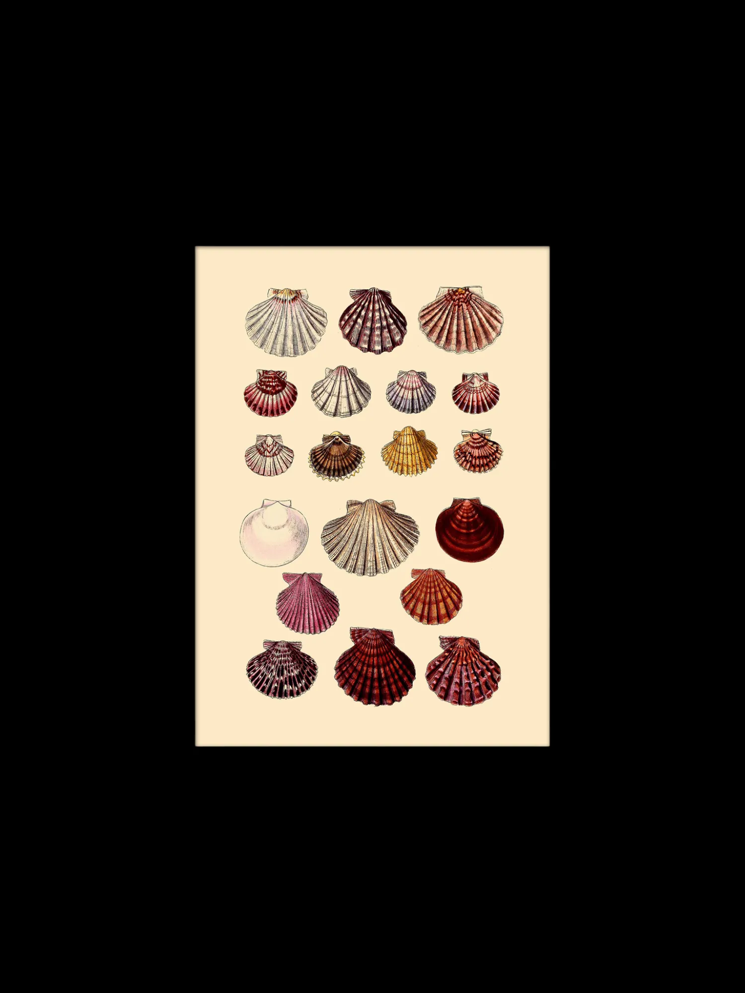 Best Plakat 15 X 21 Cm Rammer Og Plakater