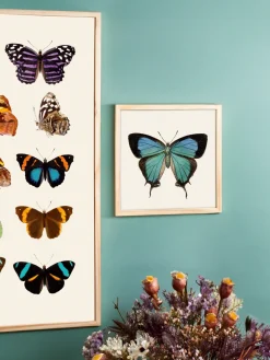 Clearance Plakat 24 X 24 Cm Rammer Og Plakater