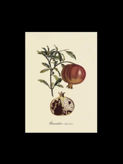 New Plakat A3 Rammer Og Plakater