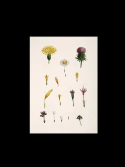 Outlet Plakat A3 Rammer Og Plakater