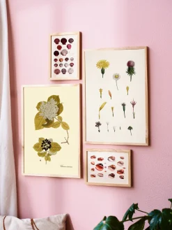 Outlet Plakat A3 Rammer Og Plakater