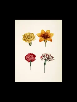 Clearance Plakat A3 Rammer Og Plakater