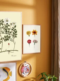 Clearance Plakat A3 Rammer Og Plakater