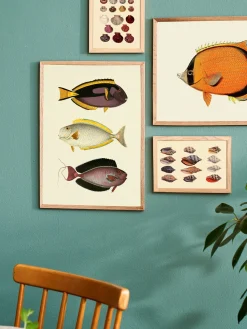 Clearance Plakat A3 Rammer Og Plakater