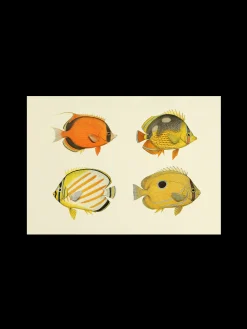 New Plakat A3 Rammer Og Plakater