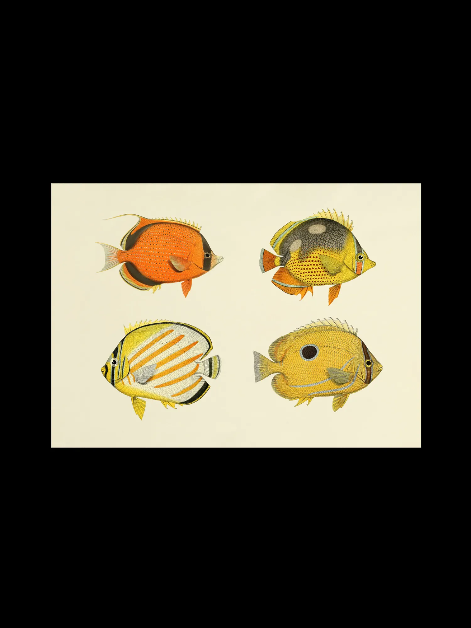 New Plakat A3 Rammer Og Plakater