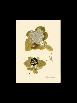 New Plakat A3 Rammer Og Plakater