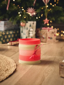 Regnbuefarget Fjærleke Utelek