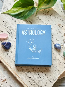 The Little Book Of Astrology Salongbordbøker