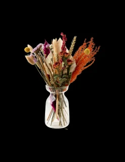 Tørkede Blomster BloomPost Dekorasjon