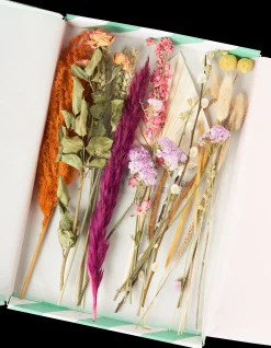 Tørkede Blomster BloomPost Dekorasjon