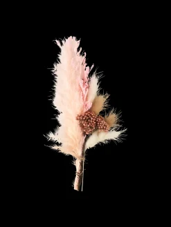 Sale Tørkede Blomster Til Hobbyprosjekter Dekorasjon