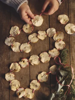 Best Tørkede Epleskiver Julepynt|Dekorasjon