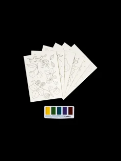 Clearance Vannfargesett Tilbehør Til Maling